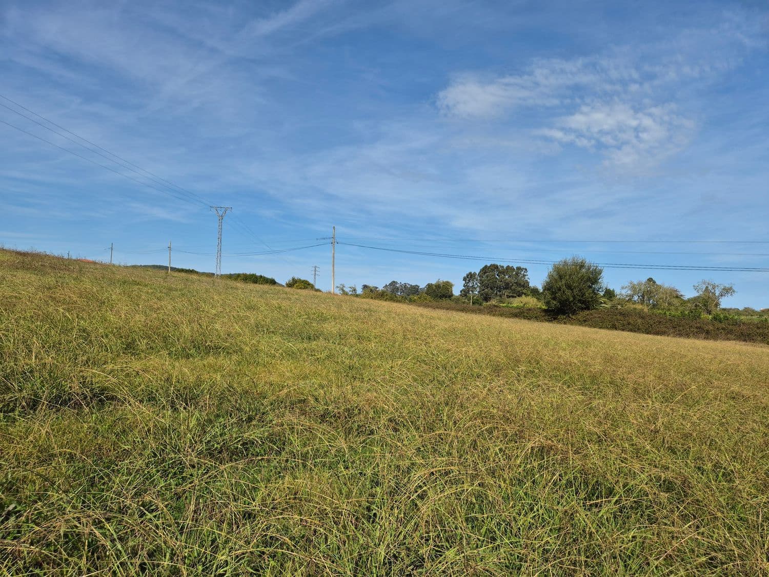 Terreno Non Edificato in vendita in Colunga - 750.000 € (Rif: 9310255)