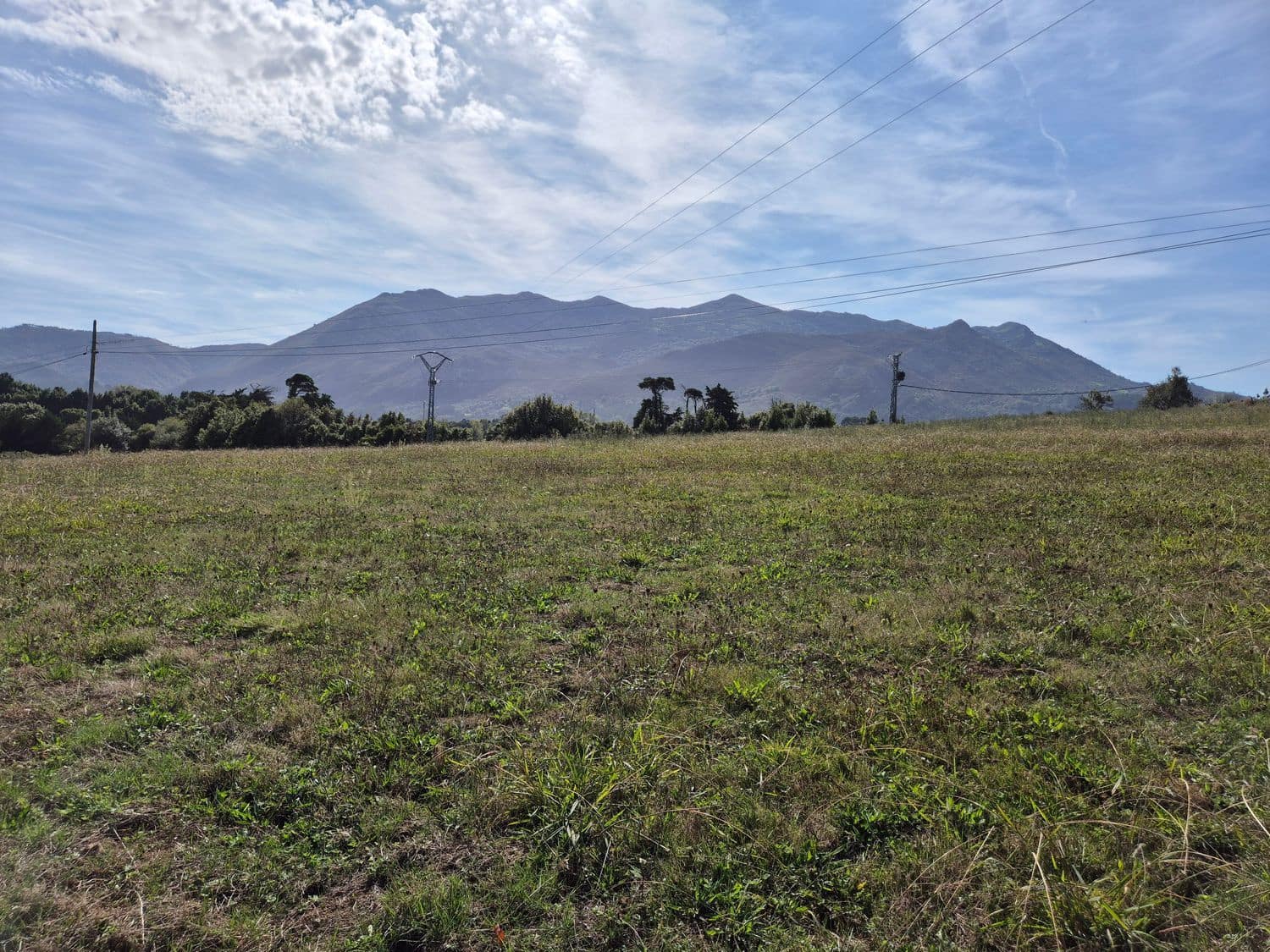 Terreno Non Edificato in vendita in Colunga - 750.000 € (Rif: 9310255)