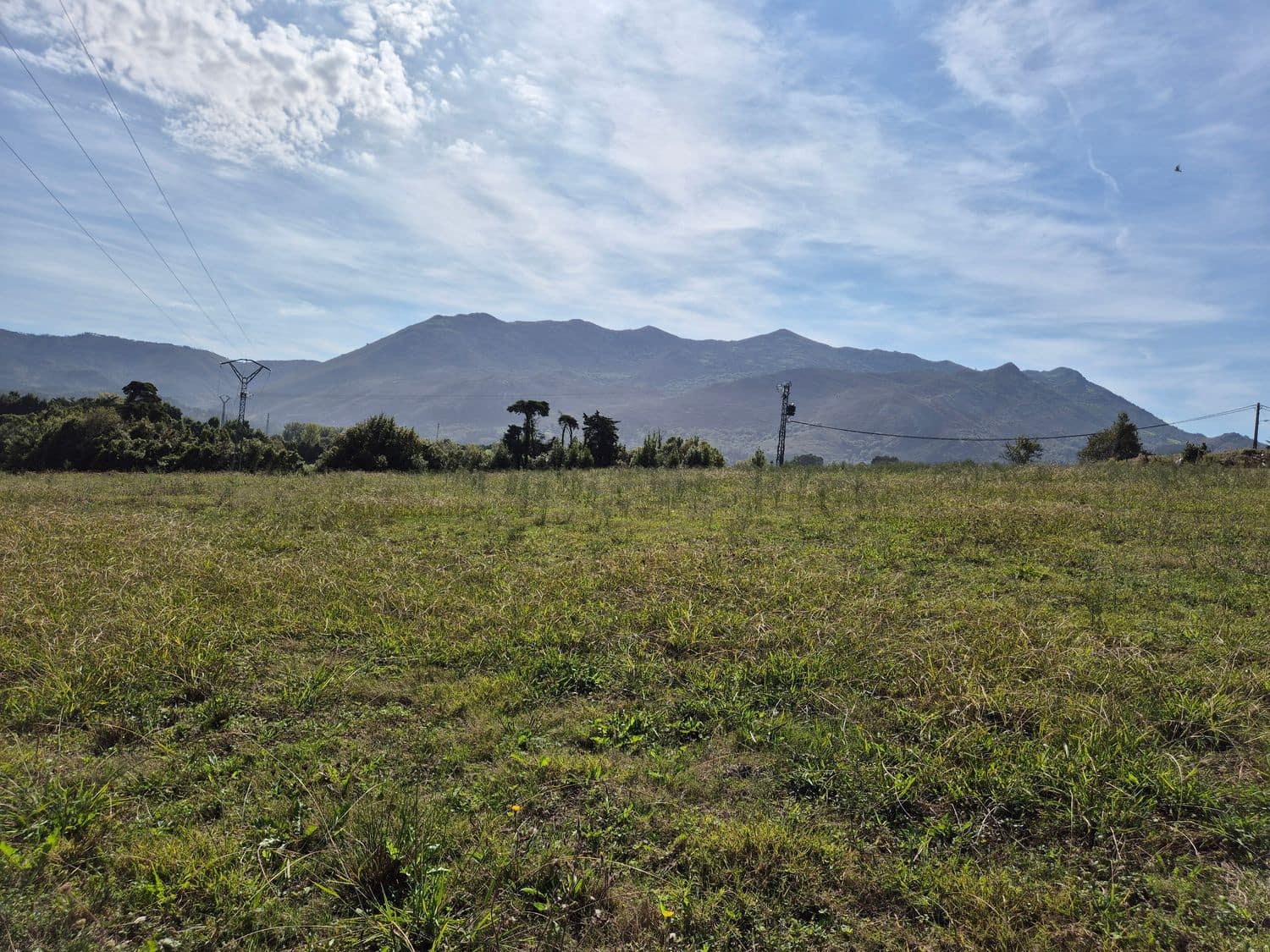 Terreno Non Edificato in vendita in Colunga - 750.000 € (Rif: 9310255)