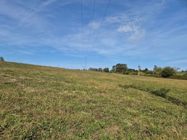 Undeveloped Land for sale in Colunga - € 750,000 (Ref: 9310255)