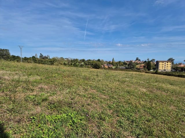 Undeveloped Land for sale in Colunga - € 750,000 (Ref: 9310255)
