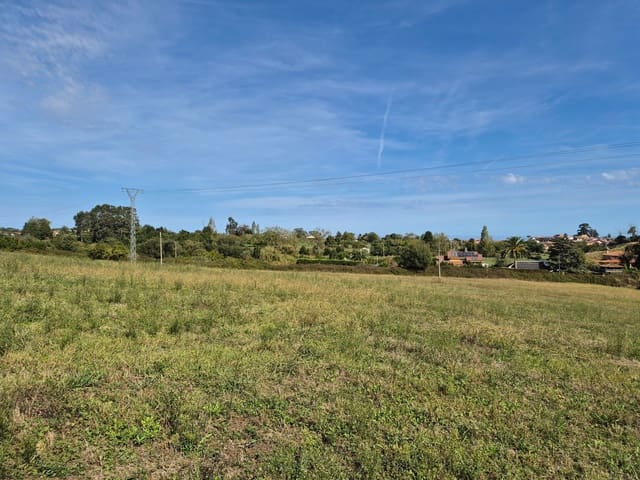Undeveloped Land for sale in Colunga - € 750,000 (Ref: 9310255)