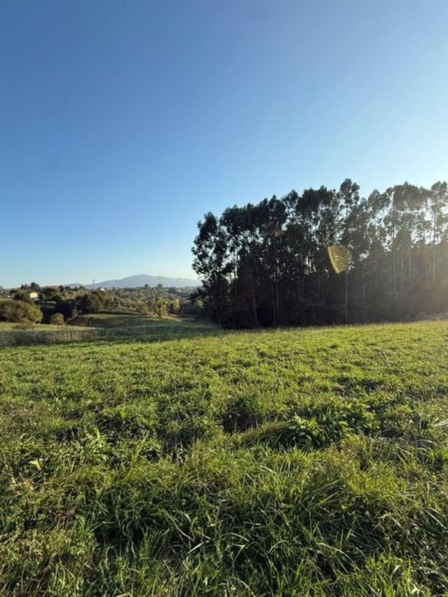 Undeveloped Land for sale in Aviles - € 400,000 (Ref: 9317094)