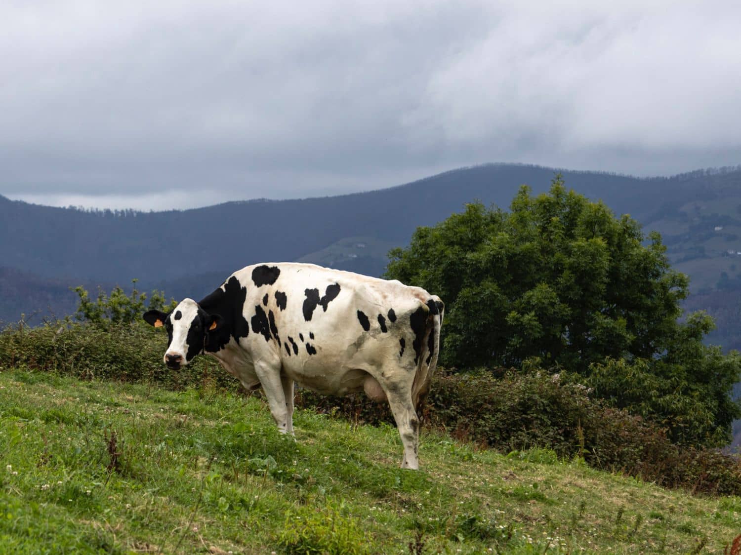 4 soverom Finca/Herregård til salgs i Valdes med garasje - € 140 000 (Ref: 9326008)