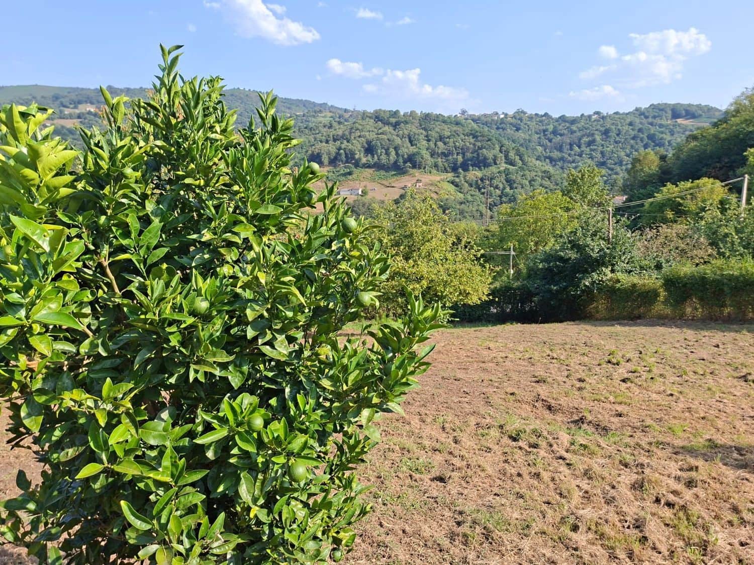 Mark till salu i Langreo - 79 500 € (Ref: 9335703)