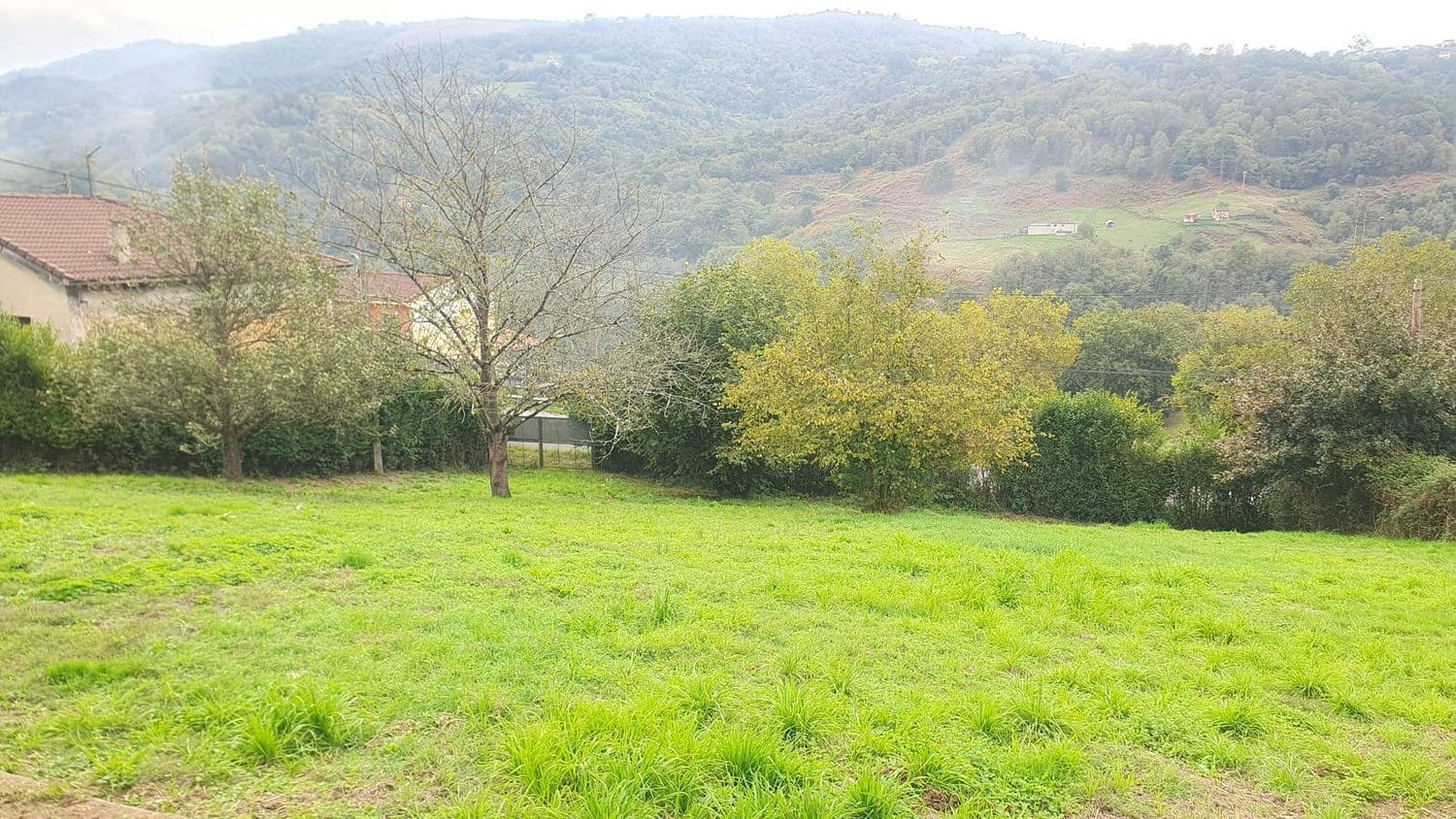 Mark till salu i Langreo - 79 500 € (Ref: 9335703)