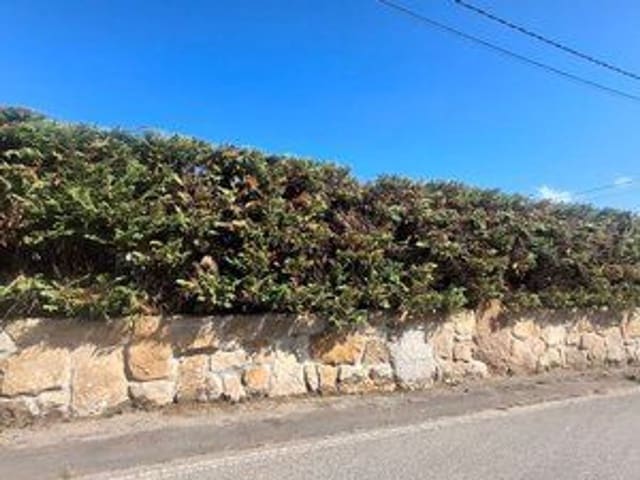 Ubebygd land til salgs i Villaviciosa - € 65 000 (Ref: 9335705)