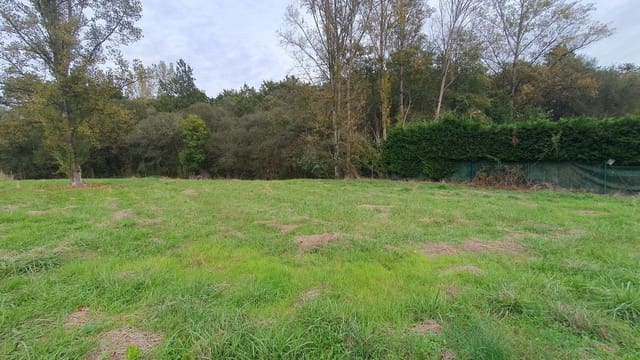 Undeveloped Land for sale in Oviedo - € 140,000 (Ref: 9371278)