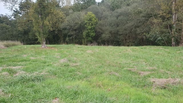 Undeveloped Land for sale in Oviedo - € 140,000 (Ref: 9371278)