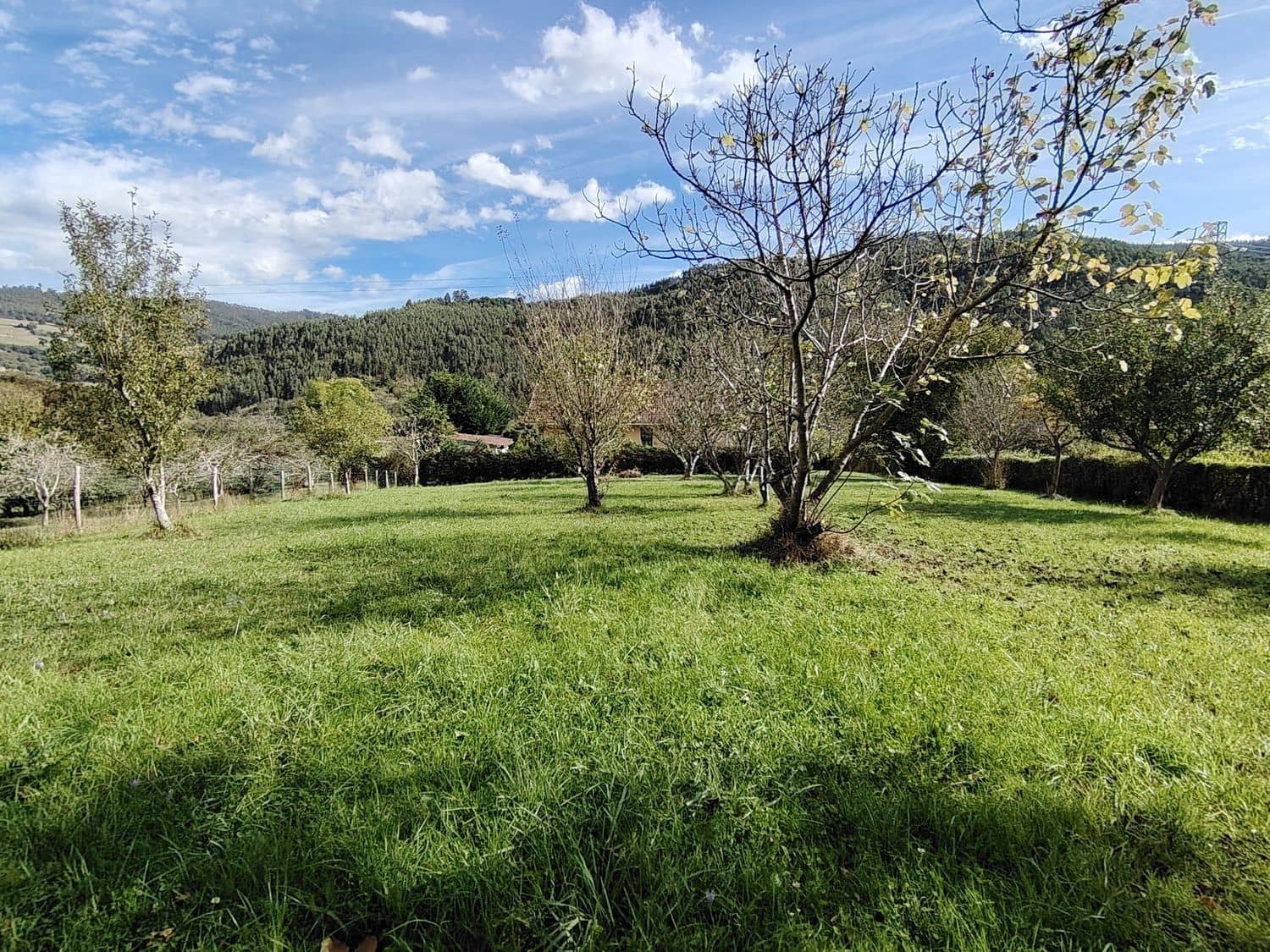 8 soverom Villa til salgs i Villaviciosa med garasje - € 475 000 (Ref: 9371283)