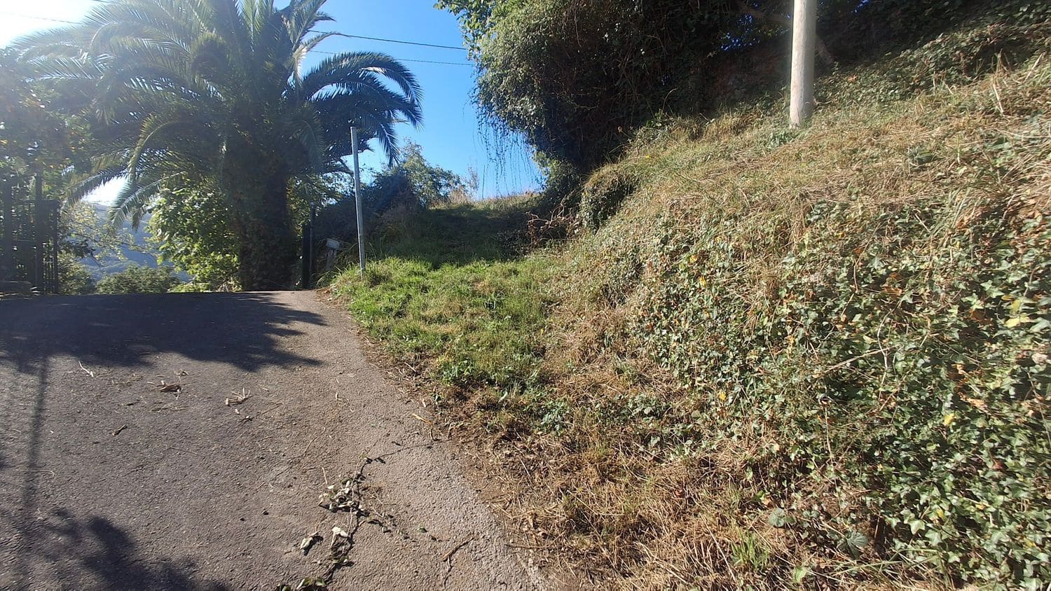 Grunde uden byggetilladelser til salg i Villaviciosa - € 40.000 (Ref: 9374687)