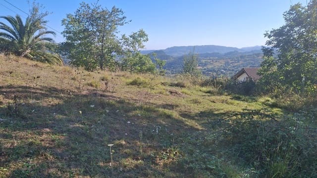 Ubebygd land til salgs i Villaviciosa - € 40 000 (Ref: 9374687)