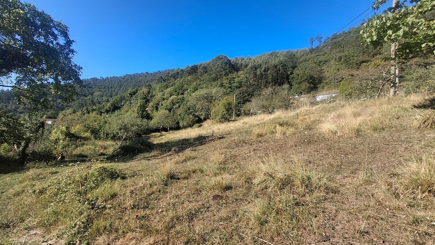 Grunde uden byggetilladelser til salg i Villaviciosa - € 40.000 (Ref: 9374687)