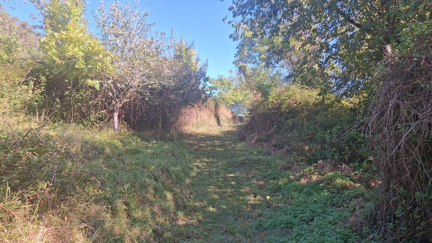 Grunde uden byggetilladelser til salg i Villaviciosa - € 40.000 (Ref: 9374687)