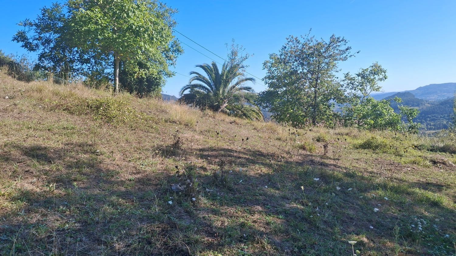 Grunde uden byggetilladelser til salg i Villaviciosa - € 40.000 (Ref: 9374687)