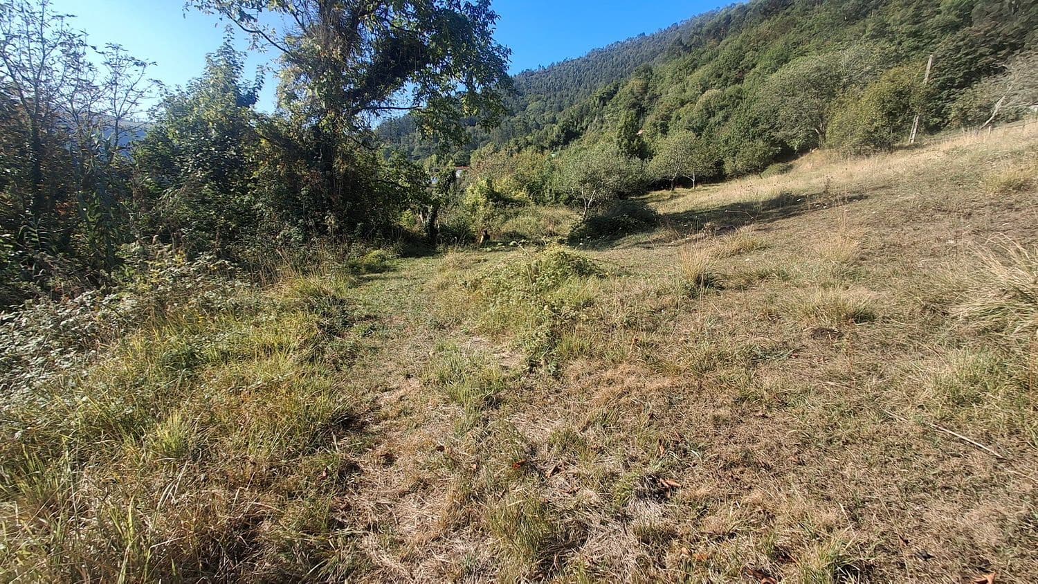 Grunde uden byggetilladelser til salg i Villaviciosa - € 40.000 (Ref: 9374687)