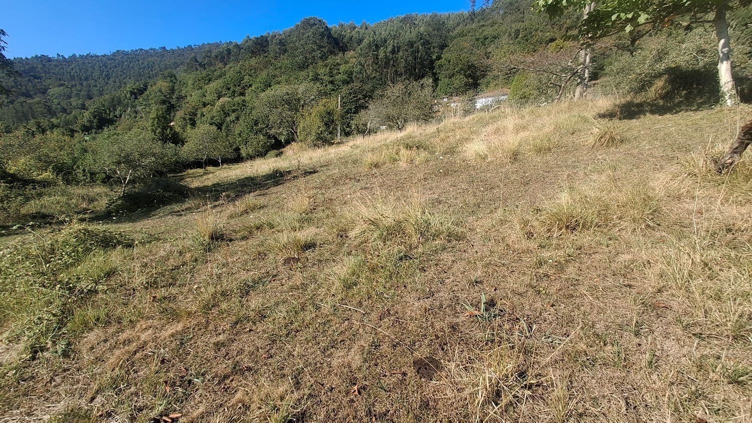 Grunde uden byggetilladelser til salg i Villaviciosa - € 40.000 (Ref: 9374687)