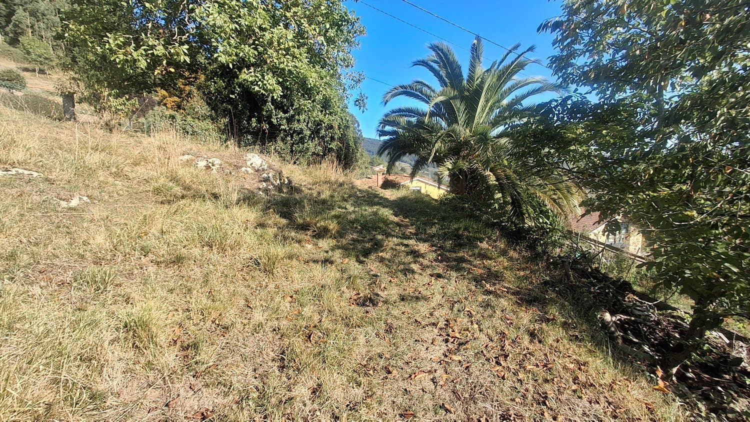 Grunde uden byggetilladelser til salg i Villaviciosa - € 40.000 (Ref: 9374687)