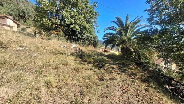 Ubebygd land til salgs i Villaviciosa - € 40 000 (Ref: 9374687)