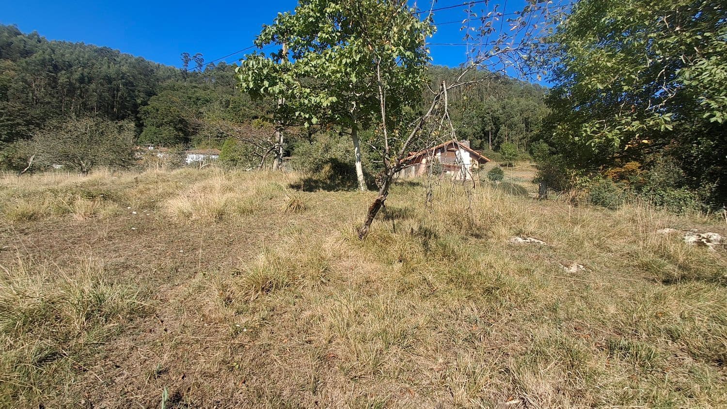 Grunde uden byggetilladelser til salg i Villaviciosa - € 40.000 (Ref: 9374687)