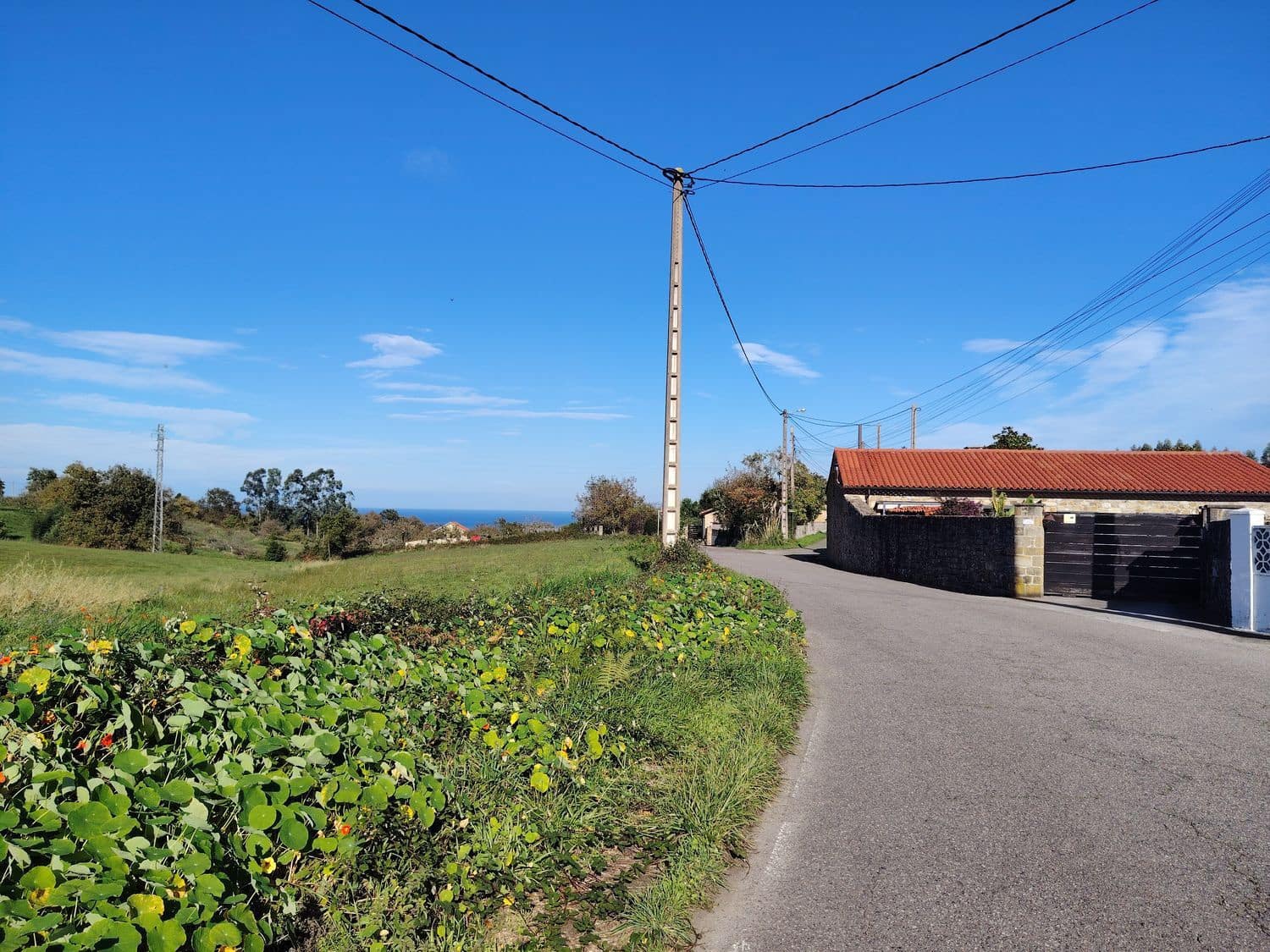 Undeveloped Land for sale in Villaviciosa - € 188,400 (Ref: 9387506)