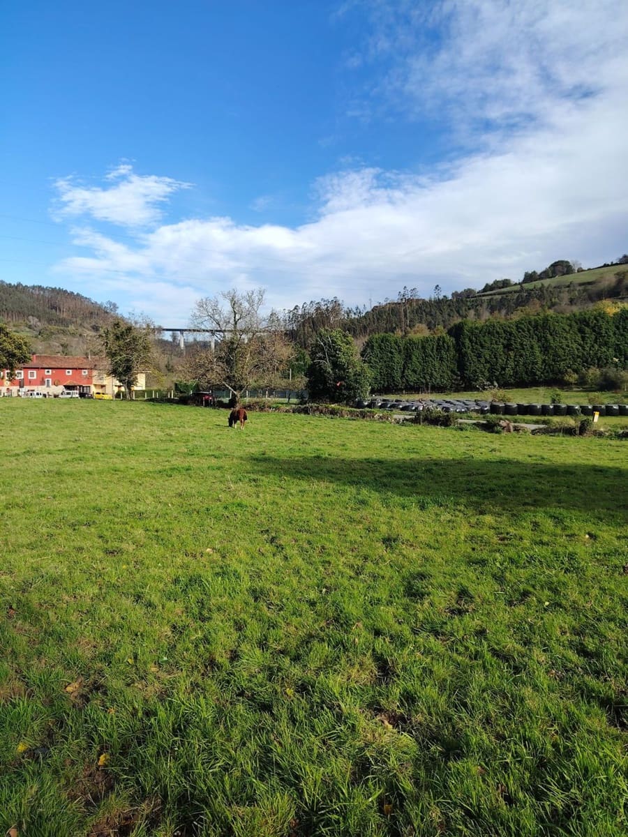 Ubebygd land til salgs i Villaviciosa - € 80 501 (Ref: 9387507)