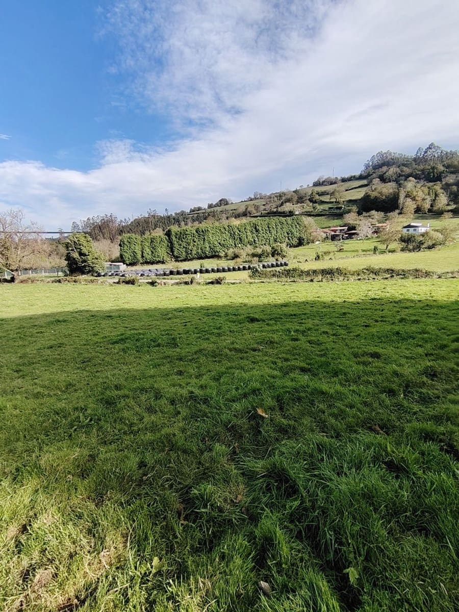 Ubebygd land til salgs i Villaviciosa - € 80 501 (Ref: 9387507)