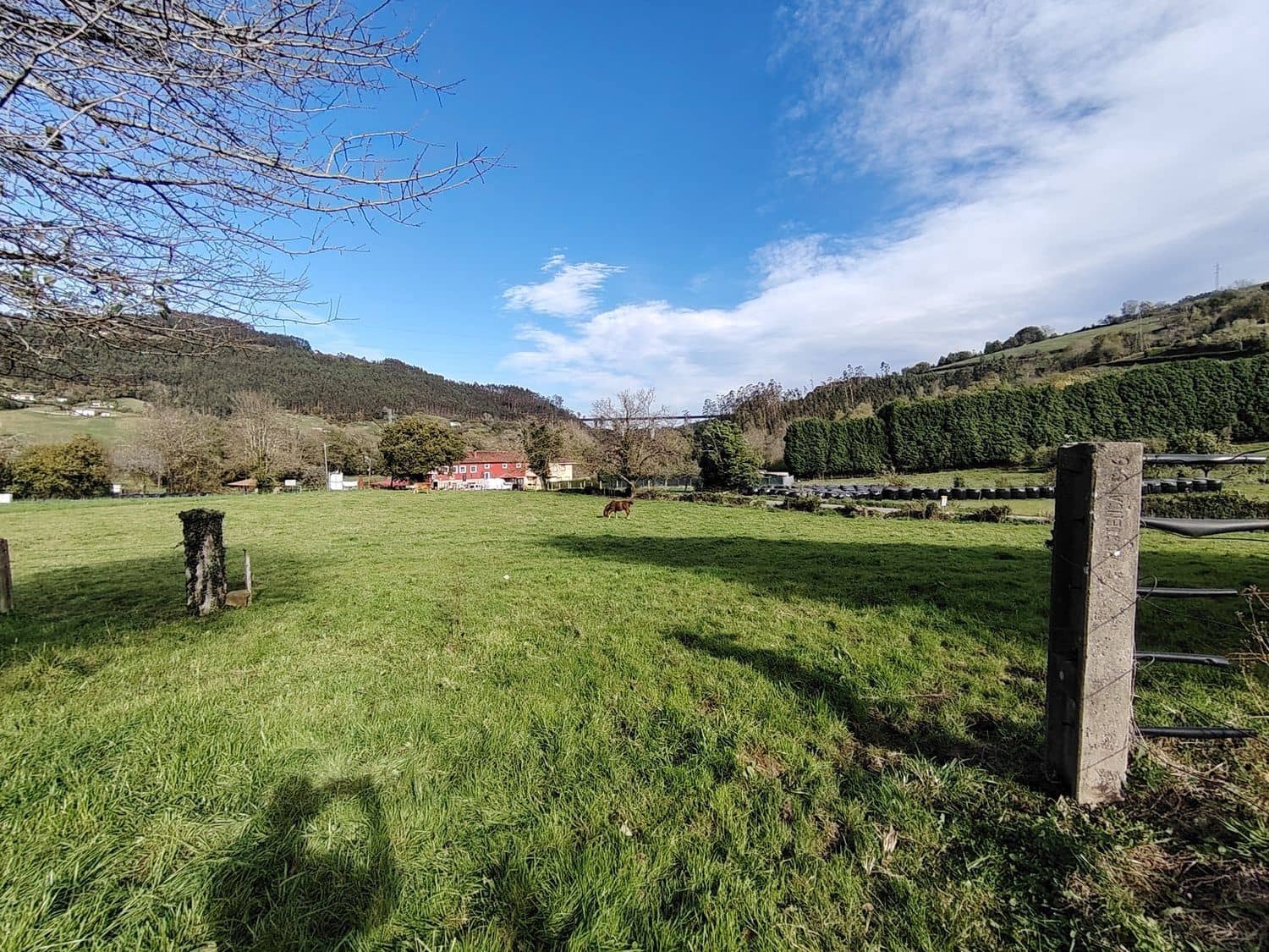 Ubebygd land til salgs i Villaviciosa - € 80 501 (Ref: 9387507)