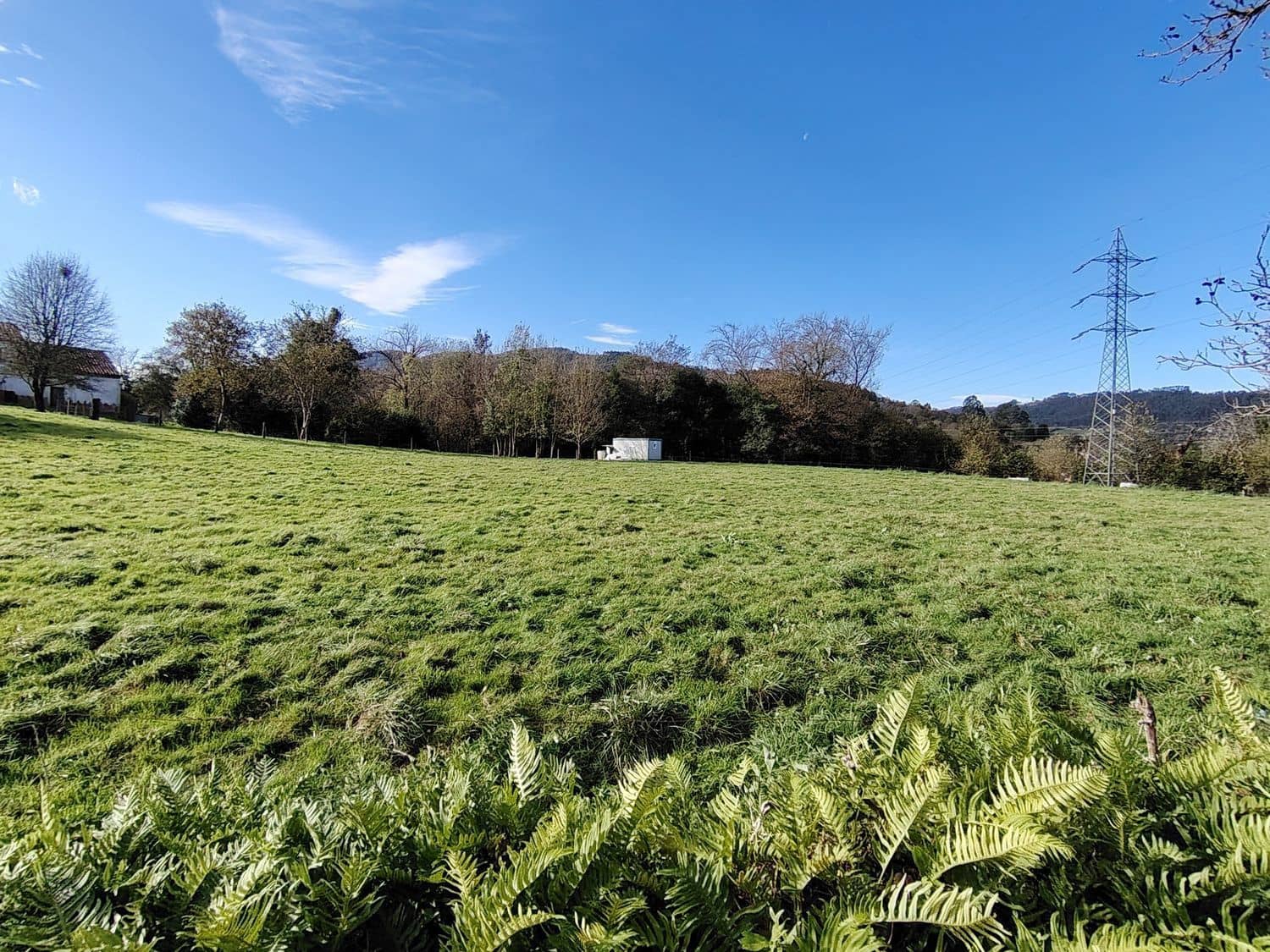 Ubebygd land til salgs i Villaviciosa - € 80 501 (Ref: 9387507)