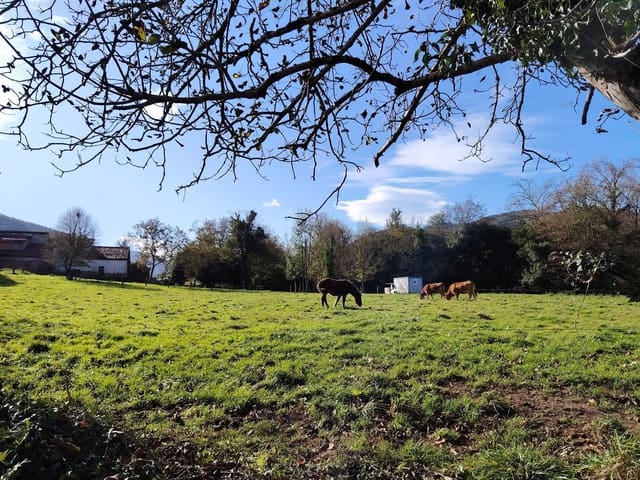 Ubebygd land til salgs i Villaviciosa - € 80 501 (Ref: 9387507)