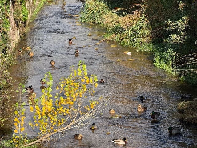 3 soverom Leilighet til salgs i Mieres med garasje - € 156 000 (Ref: 9400437)