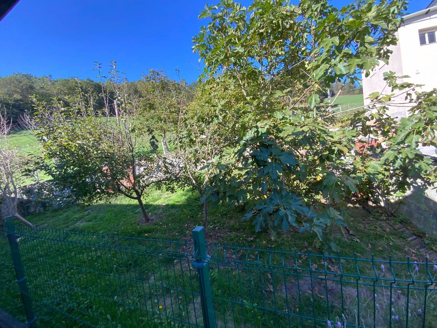 3 bedroom Finca/Country House for sale in Luarca with garage - € 169,000 (Ref: 9404467)