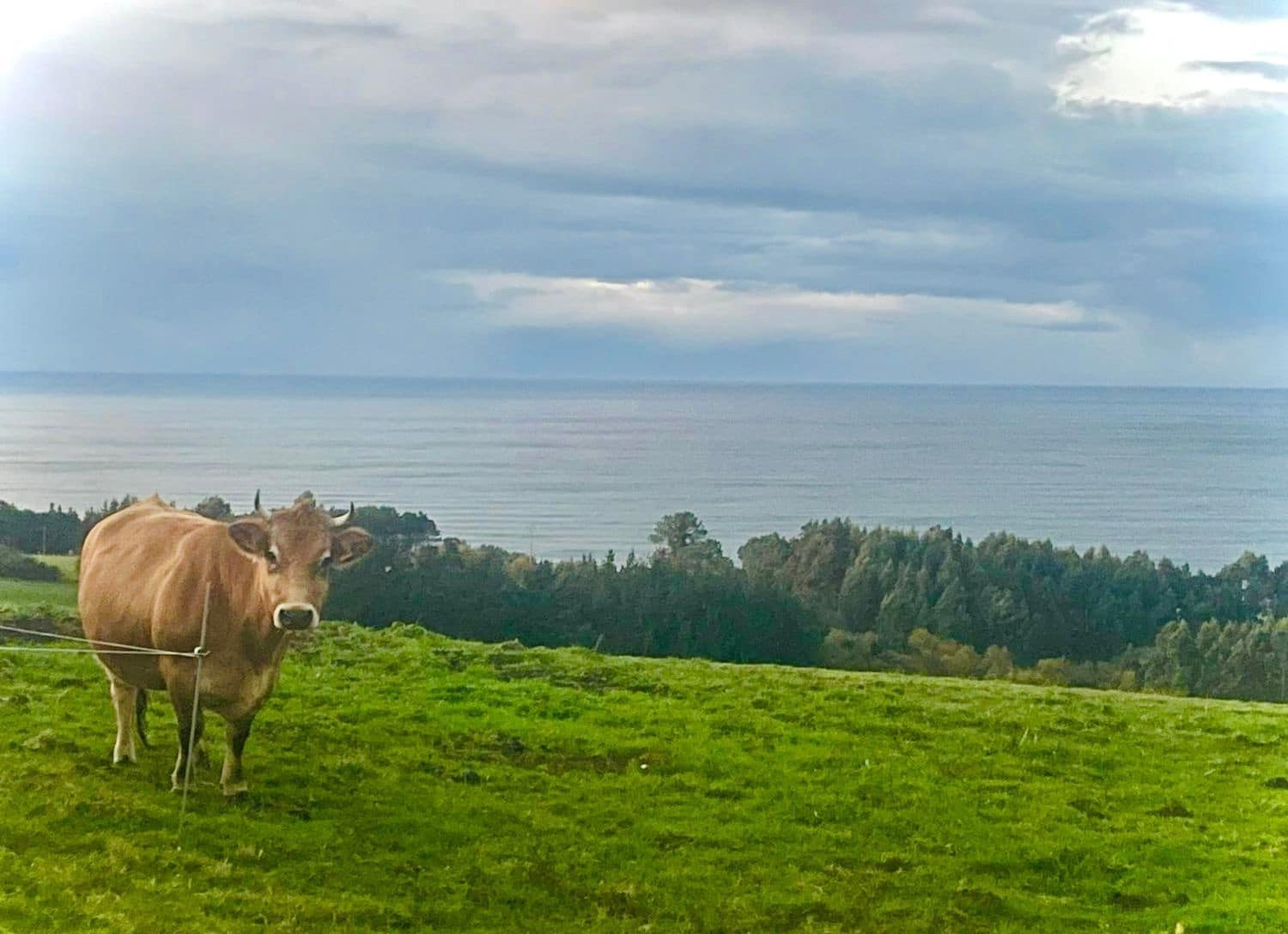 7 bedroom Finca/Country House for sale in Valdes with garage - € 340,000 (Ref: 9439525)