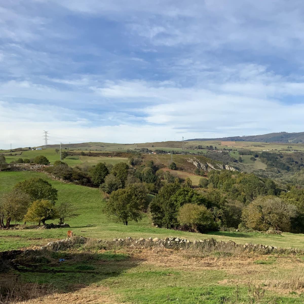 3 soveværelse Finca/Landehus til salg i Tineo med garage - € 240.000 (Ref: 9439526)