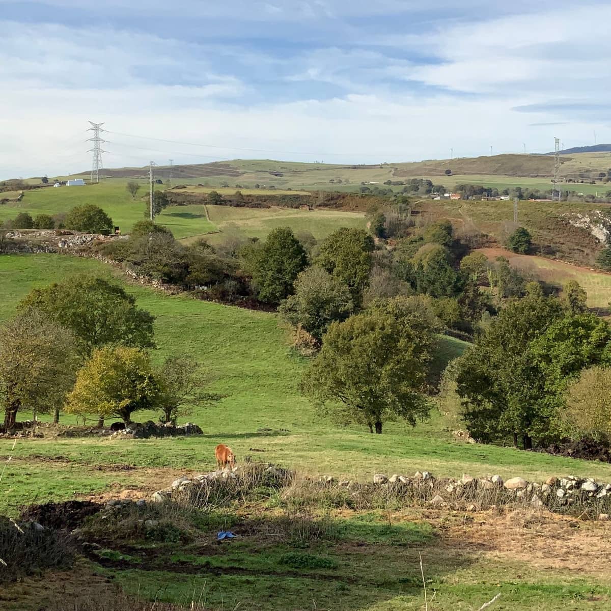 3 soveværelse Finca/Landehus til salg i Tineo med garage - € 240.000 (Ref: 9439526)