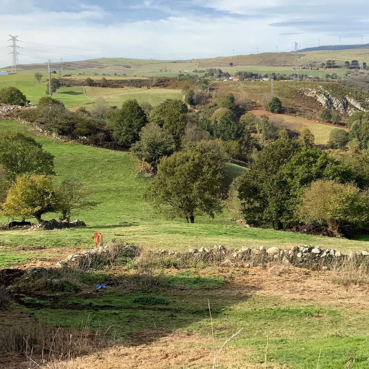 3 soveværelse Finca/Landehus til salg i Tineo med garage - € 240.000 (Ref: 9439526)