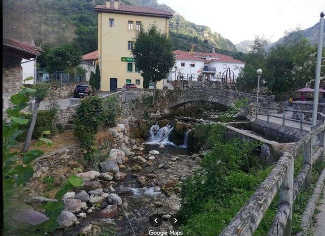 Commercial for sale in Somiedo - € 20,000 (Ref: 9455742)
