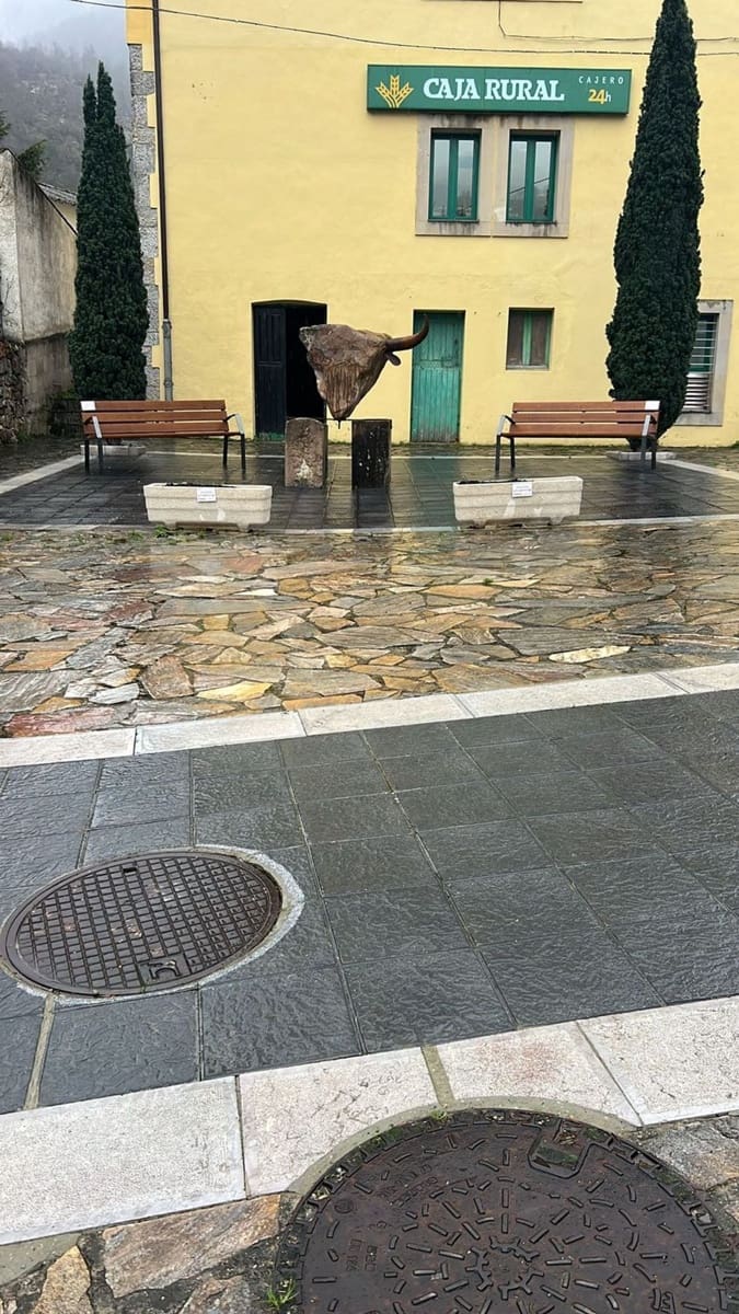 Comercial para venda em Somiedo - 20 000 € (Ref: 9455742)