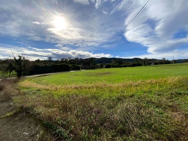 4 chambre Finca/Maison de Campagne à vendre à Luarca, Valdés avec garage - 240 000 € (Ref: 9461137)