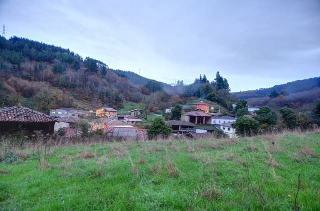 Quinta/Casa Rural para venda em Tineo com garagem - 60 000 € (Ref: 9470500)