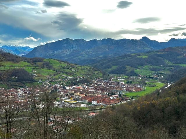 Finca/Casa Rural de 2 habitaciones en Laviana en venta con garaje - 15.000 € (Ref: 9490998)