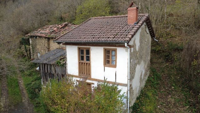 Finca/Casa Rural de 2 habitaciones en Laviana en venta con garaje - 15.000 € (Ref: 9490998)