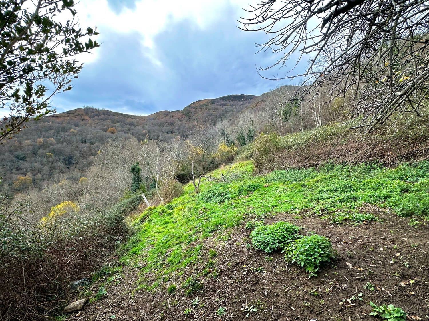 Finca/Casa Rural de 2 habitaciones en Laviana en venta con garaje - 15.000 € (Ref: 9490998)