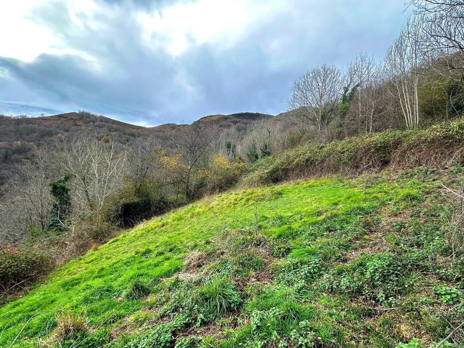 Finca/Casa Rural de 2 habitaciones en Laviana en venta con garaje - 15.000 € (Ref: 9490998)