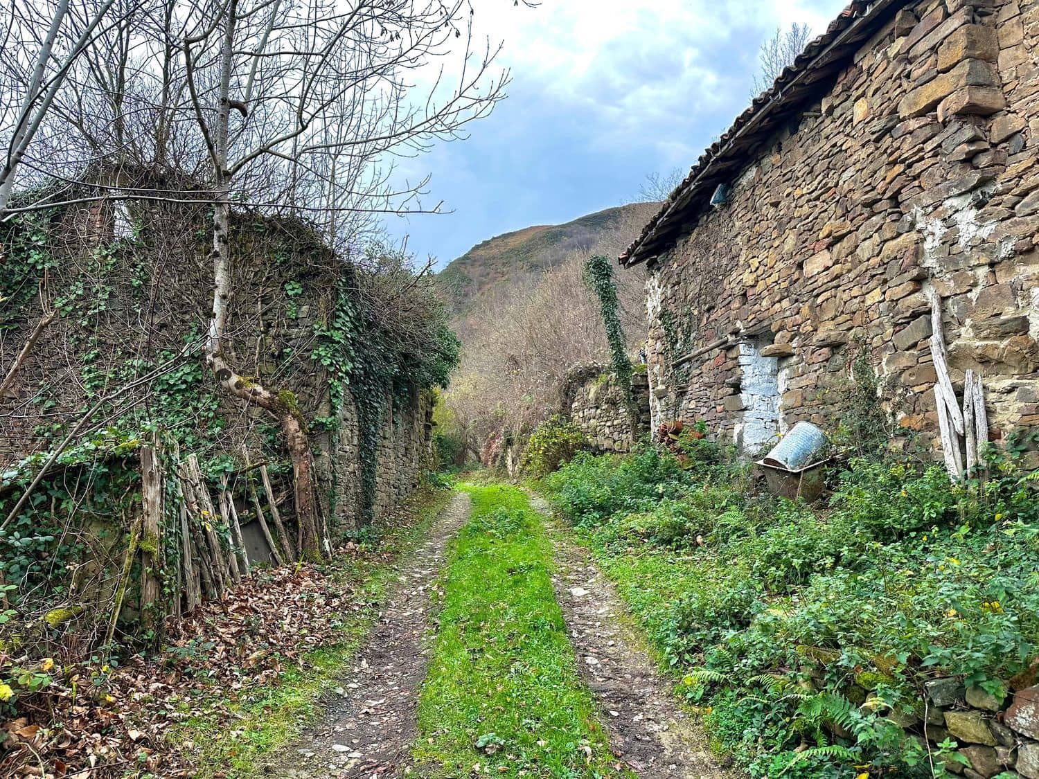 Finca/Casa Rural de 2 habitaciones en Laviana en venta con garaje - 15.000 € (Ref: 9490998)