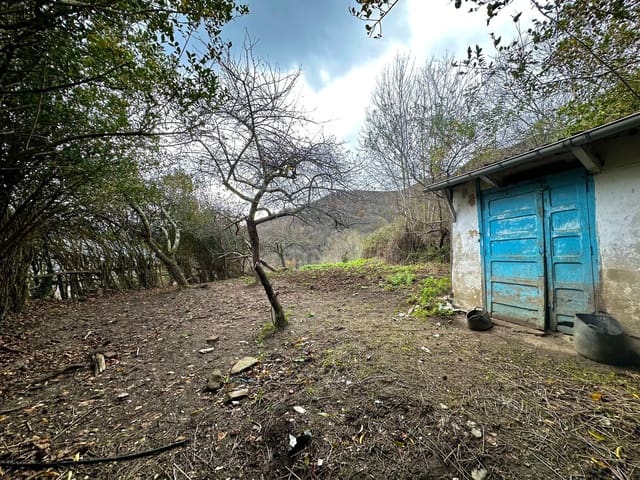 Finca/Casa Rural de 2 habitaciones en Laviana en venta con garaje - 15.000 € (Ref: 9490998)