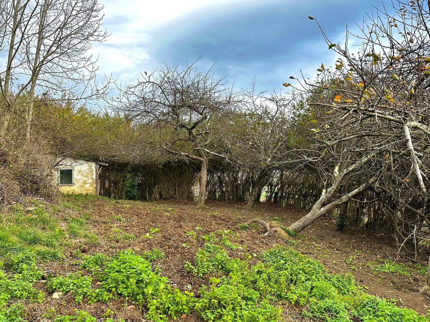Finca/Casa Rural de 2 habitaciones en Laviana en venta con garaje - 15.000 € (Ref: 9490998)