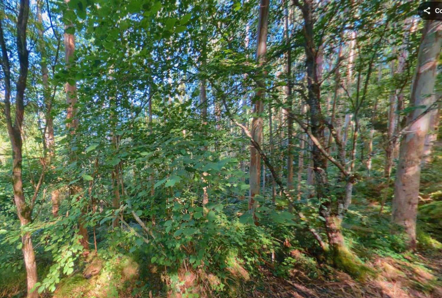 Undeveloped Land for sale in Llanes - € 28,000 (Ref: 9503727)