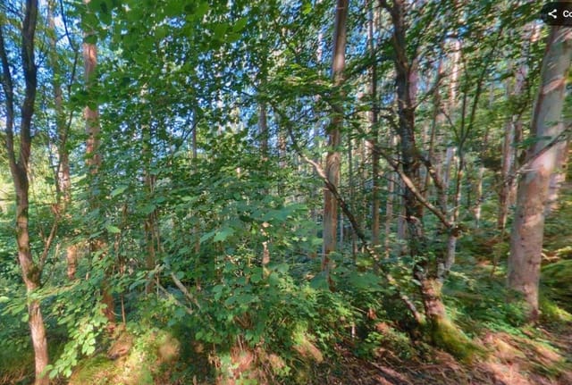 Undeveloped Land for sale in Llanes - € 28,000 (Ref: 9503727)