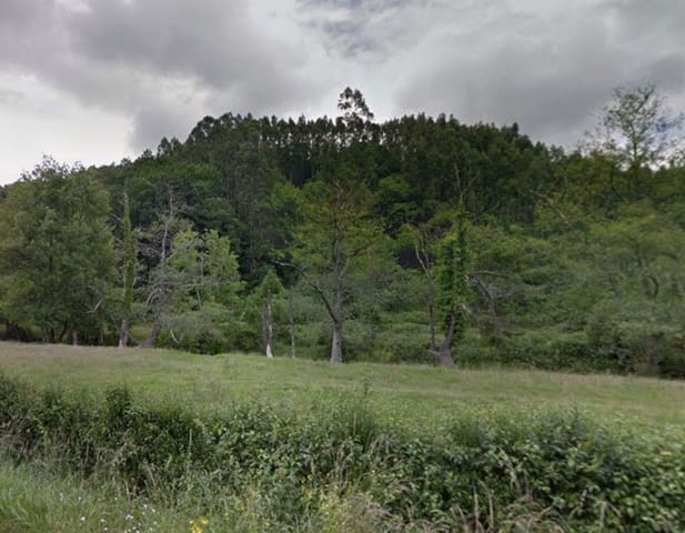 Undeveloped Land for sale in Llanes - € 28,000 (Ref: 9503727)